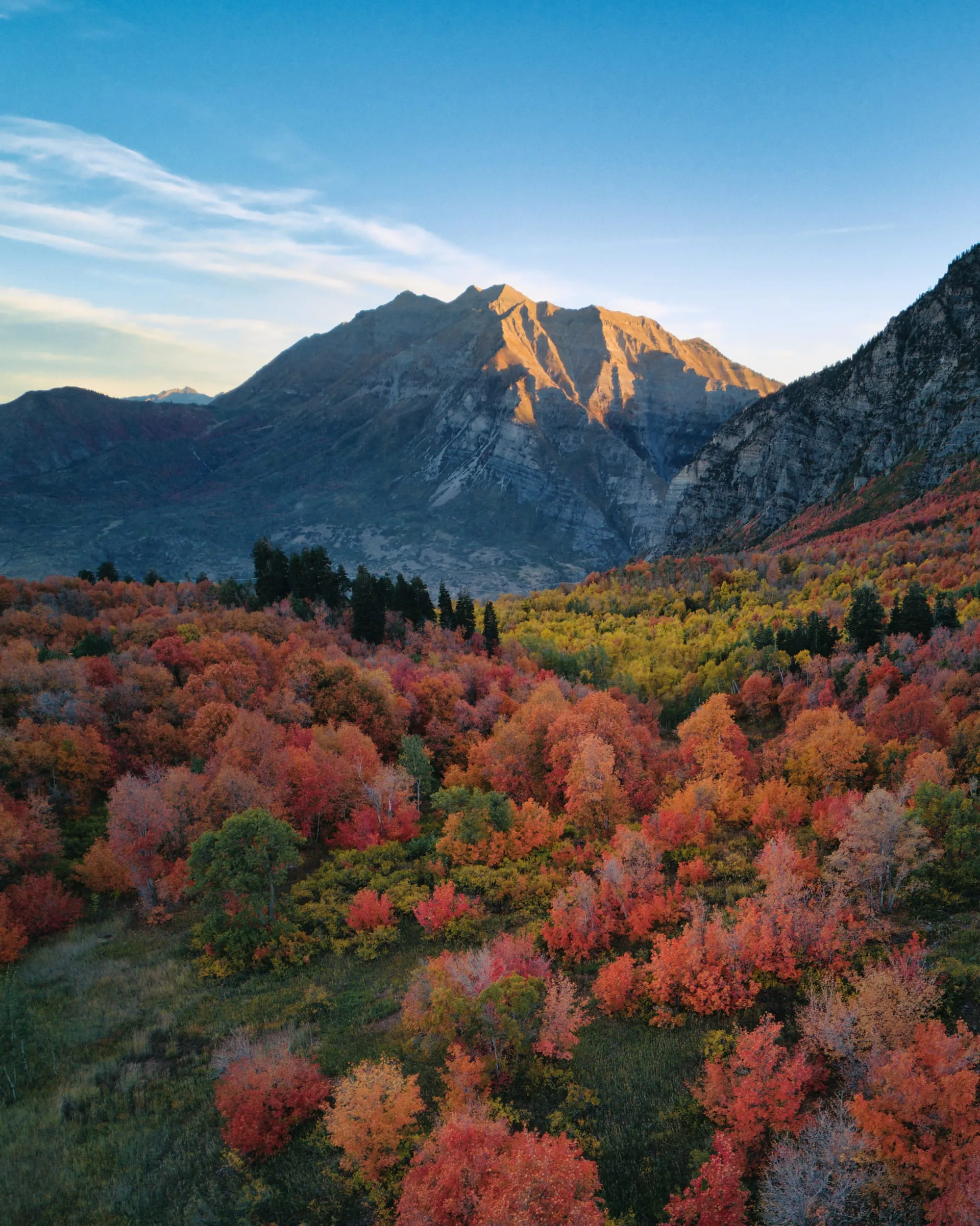 autumn forest below sunlit mountain peak